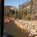 Creek and trees.jpg
