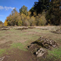 Grassy outcroppings.jpg