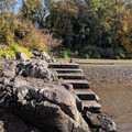 Harbor steps.jpg