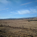 Leaving Sacramento.jpg