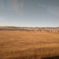 Looking out the window.jpg