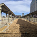 Old platforms.jpg