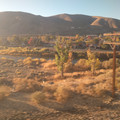 Patrick, Nevada.jpg