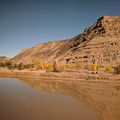 Silt in the water.jpg