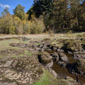 Tide pool or rain.jpg