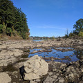 Tide's Out.jpg