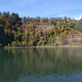 West bank of the Willamette.jpg