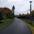 Wet day on the Trolley Trail.jpg