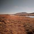 Wide open spaces.jpg