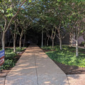 And through the woods.jpg