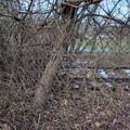 End of the line.jpg