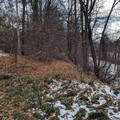 Old Pere Marquette grade.jpg