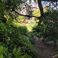 Garden path.jpg