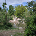 Pelicans at the Basel Zoo.jpg