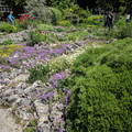 Rock garden.jpg