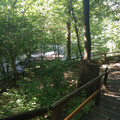 Stairs to Wolfschlucht.jpg