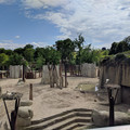 Storks at the Basel Zoo.jpg