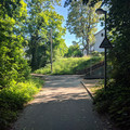 Tram crossing Rehhagstrasse.jpg