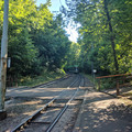 Tram leaves Wolfschucht.jpg
