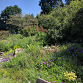 University of Basel botanical garden.jpg