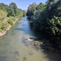 Birs.jpg