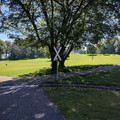 Garden gauge and disc golf.jpg
