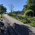 Garden gauge cog railway.jpg