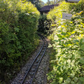 Garden gauge through the brush.jpg
