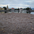 Flotsam at Lindau.jpg