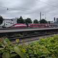 OBB 1116 with intercity train.jpg