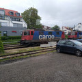 Swiss locomotives at Lindau.jpg