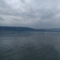The Bodensee.jpg