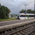 Thurbo at Erzingen.jpg