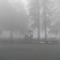 Welcome to Silent Hill.jpg