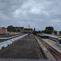 Wide variety at Lindau.jpg