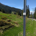 Nice view with the window open.jpg