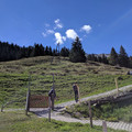 Path up from Winteregg.jpg
