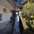 Runoff and a mouse.jpg