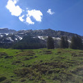 Thatched hay.jpg