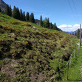 Trackside view.jpg