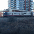 IDTX 4618.jpg
