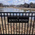 Joel's Pond.jpg