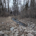 Runoff creek.jpg