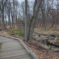 Path through the wetlands.jpg