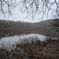 Reflections on the Upper Pond.jpg