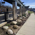 Rock garden.jpg