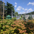 LRVs at Overbrook Junction station.jpg
