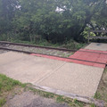 On the old Drake branch.jpg