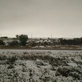 Found the snow.jpg