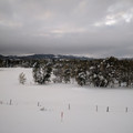 Glacier National Park 06.jpg
